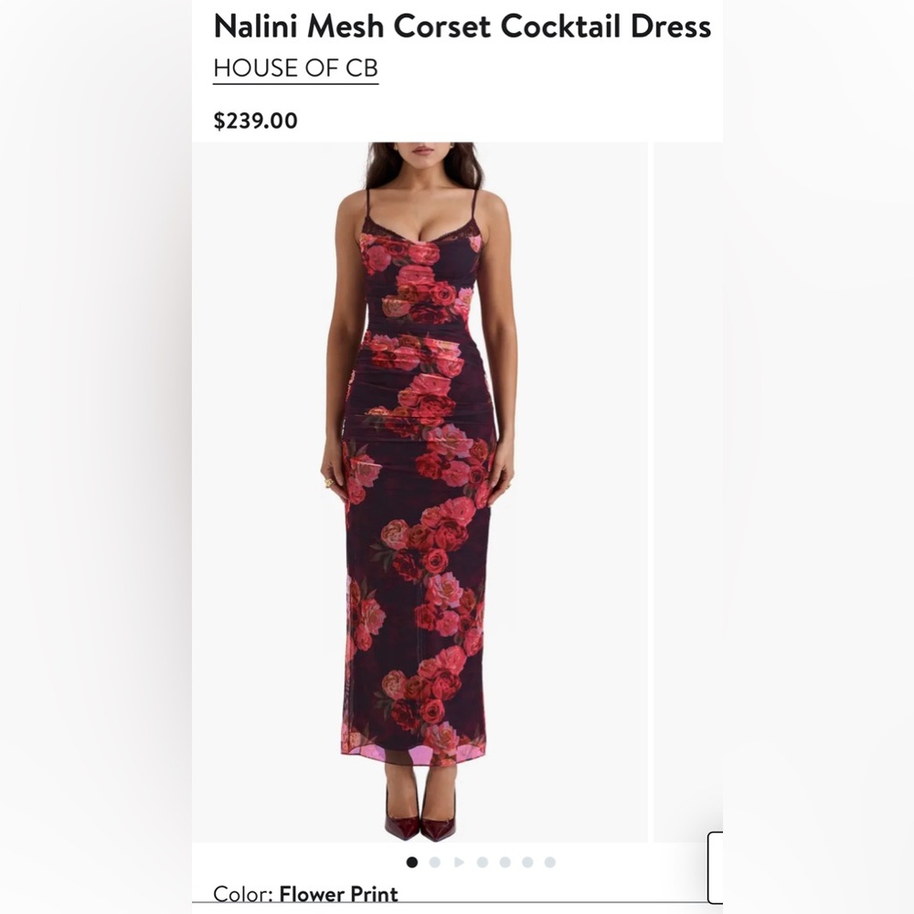 Nalini Mesh Corset Cocktail Dress- House of CB